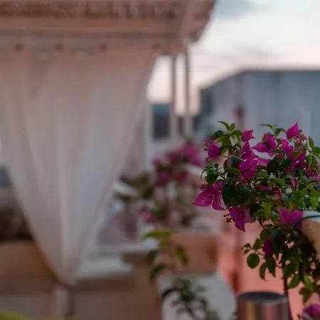 M'ami * San Cassiano (Lecce)