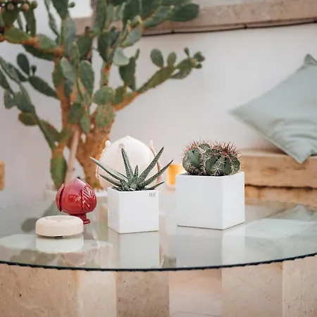 M'ami * San Cassiano (Lecce)