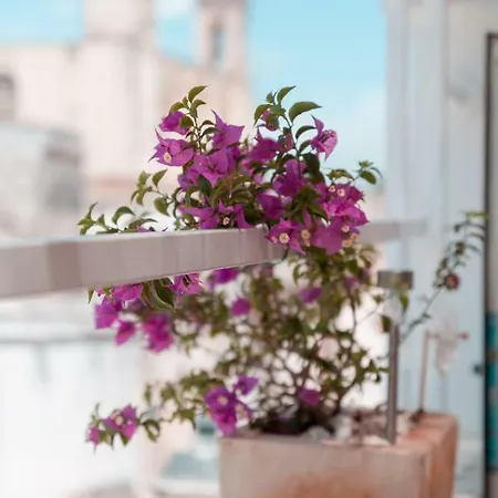 M'ami * San Cassiano (Lecce)